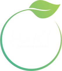 HaKI Logo