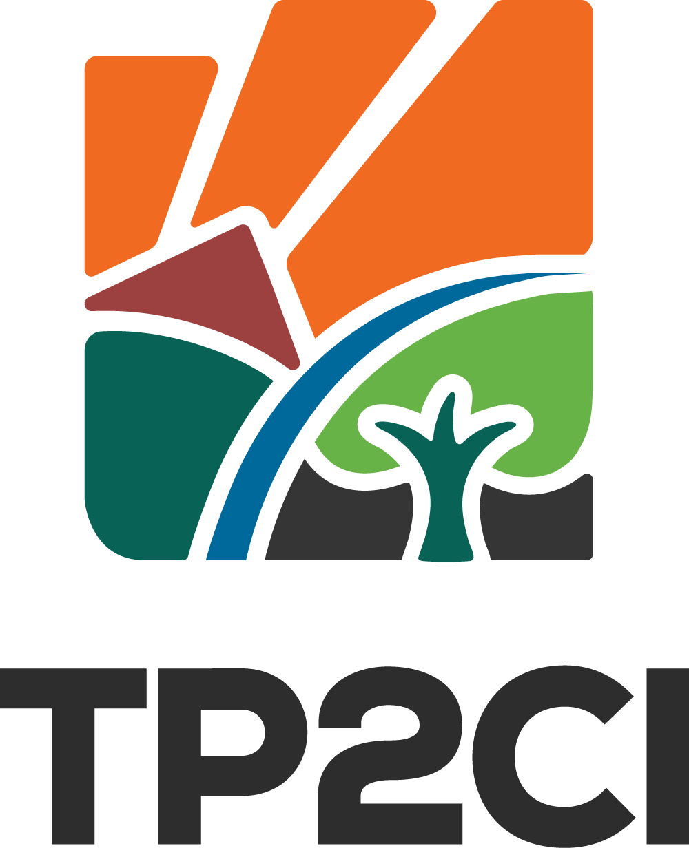 Konfigurasi Logo TP2CI 3 - Wordmark